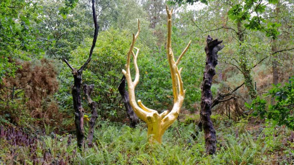 Légendes celtes de Bretagne : murmures, brumes et&nbsp;sortilèges